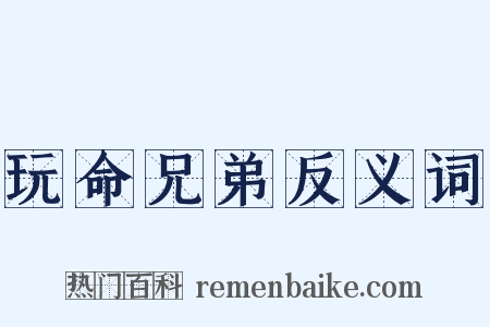 玩命兄弟反义词是什么意思的图片
